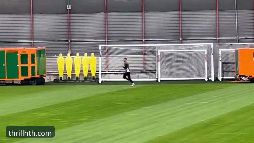 HTH华体会体育投注体验优化与使用完整指南